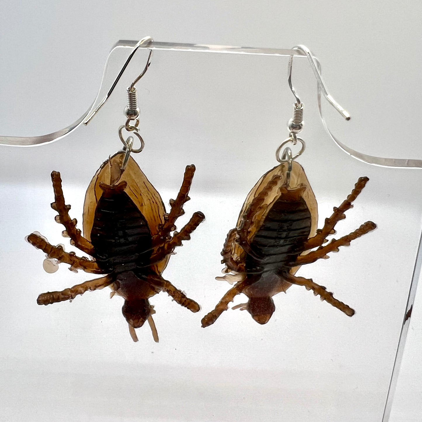 Roach Earrings