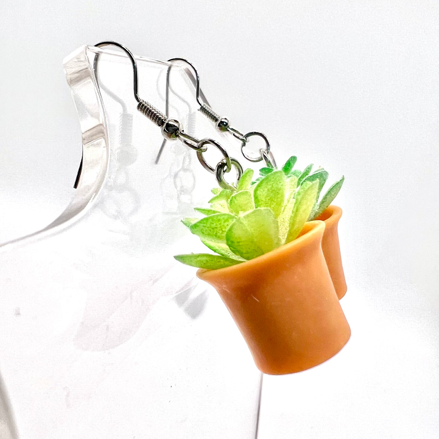 Succulent Plant Earrings