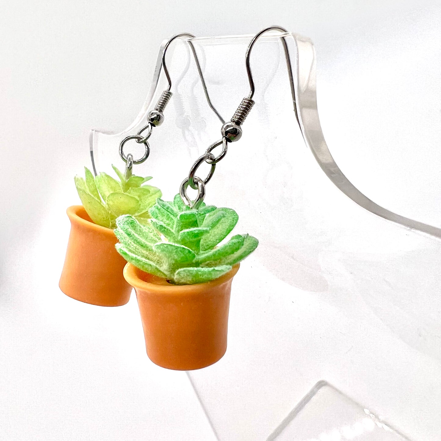 Succulent Plant Earrings