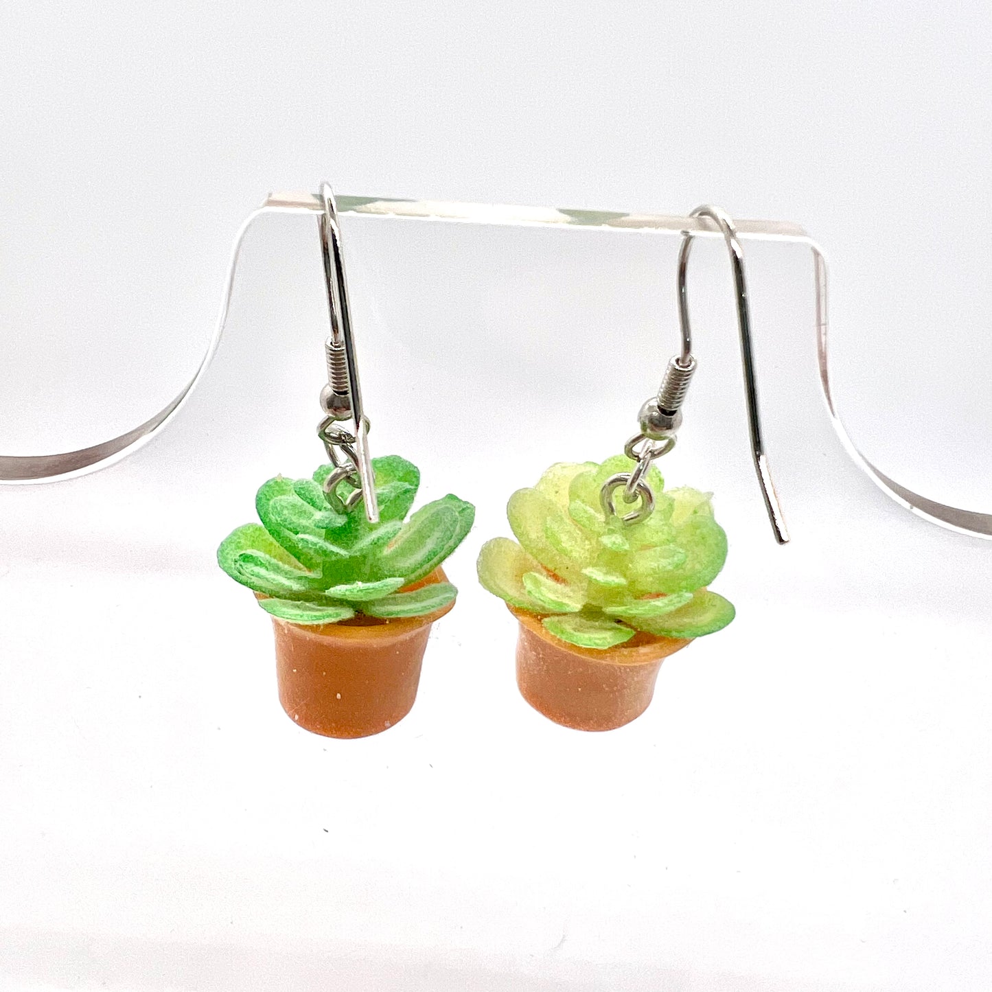 Succulent Plant Earrings
