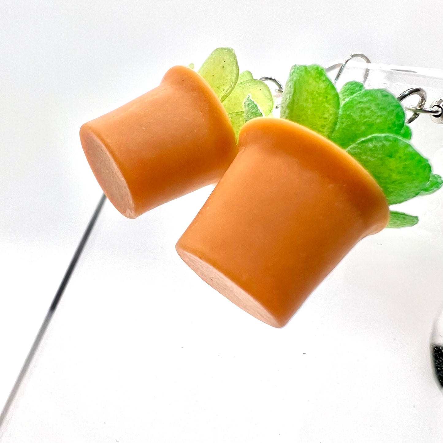 Succulent Plant Earrings