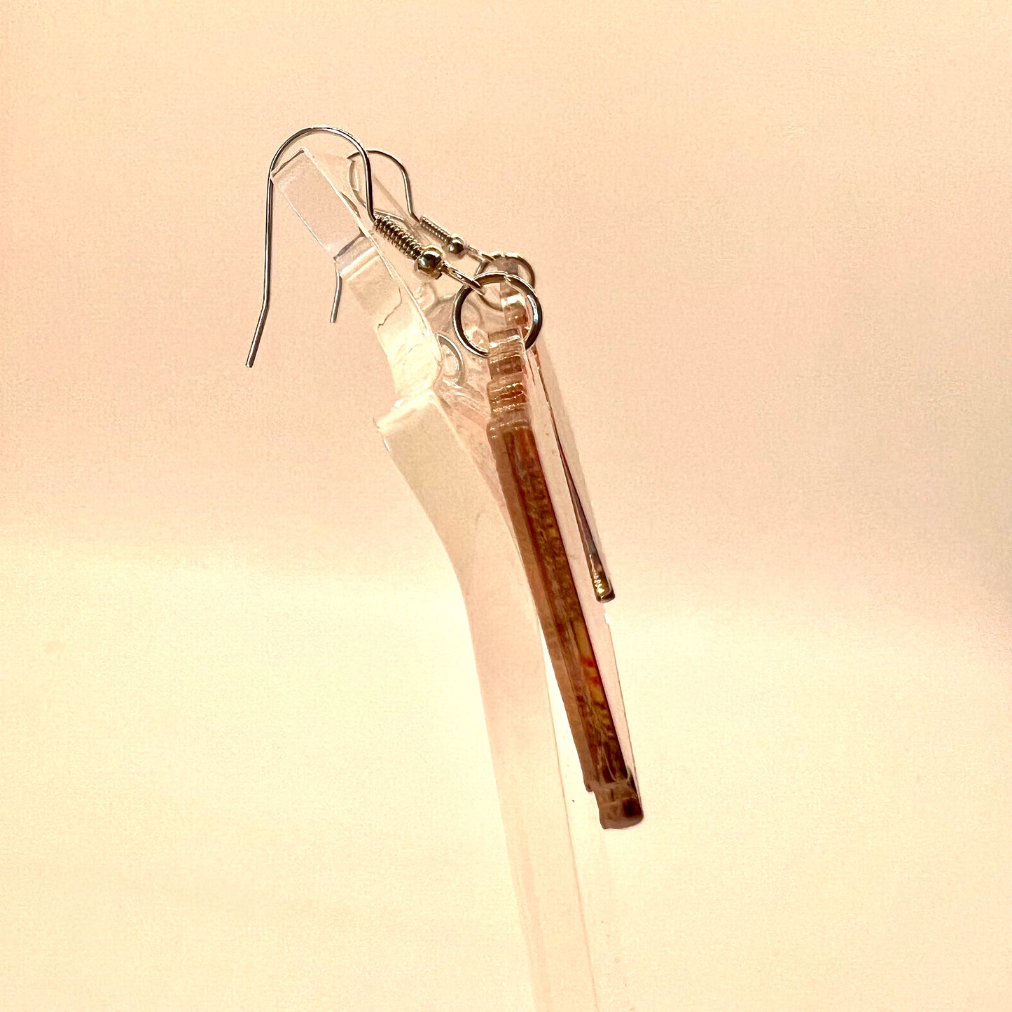 Banned Book Earrings