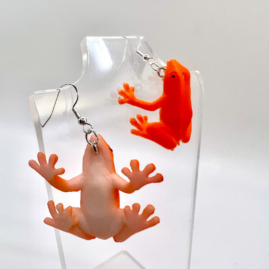 Tree Frog Earrings