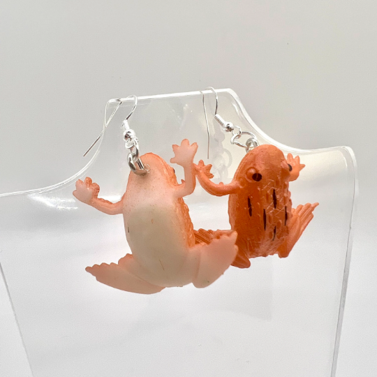 Bull Frog Earrings