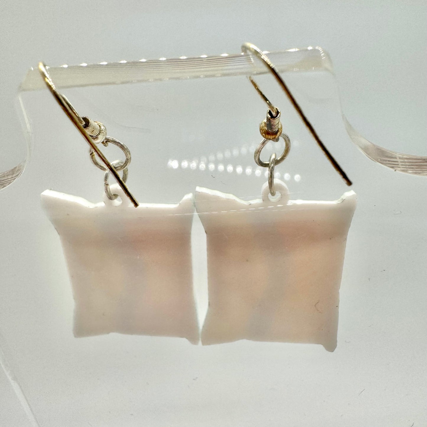 Ramen Noodles Earrings