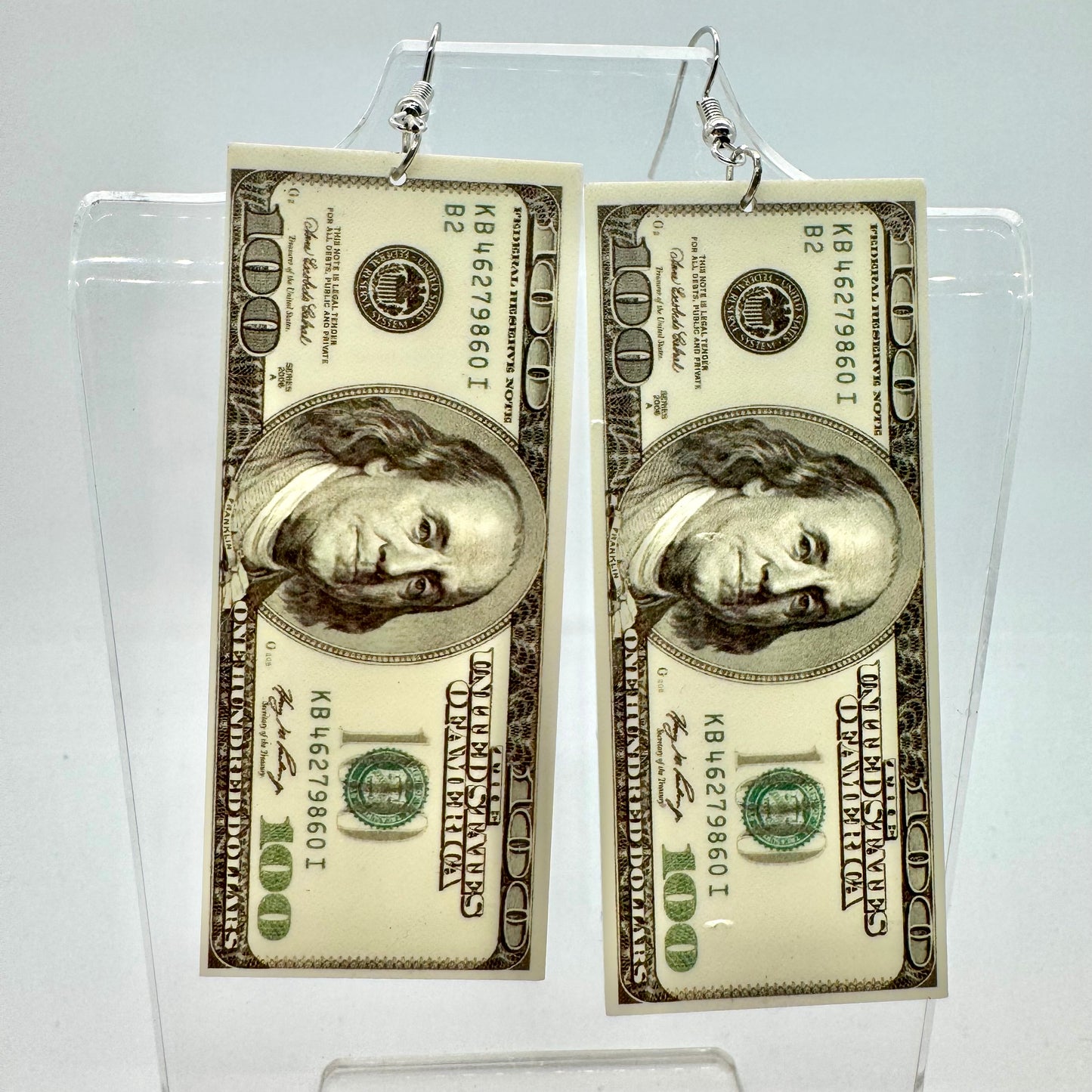 Large Dollar Bill Earrings
