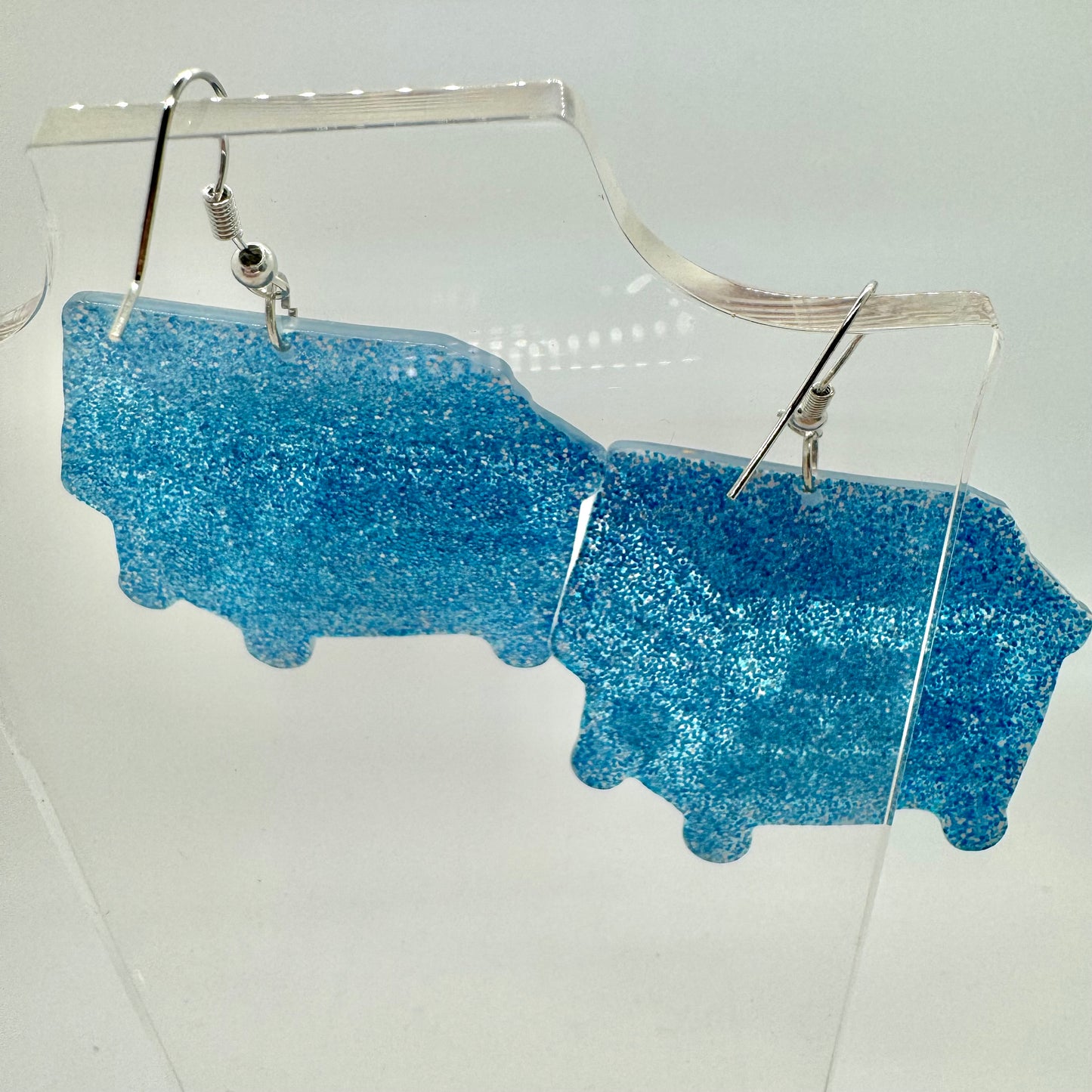 Other Peoples Opinions Earrings