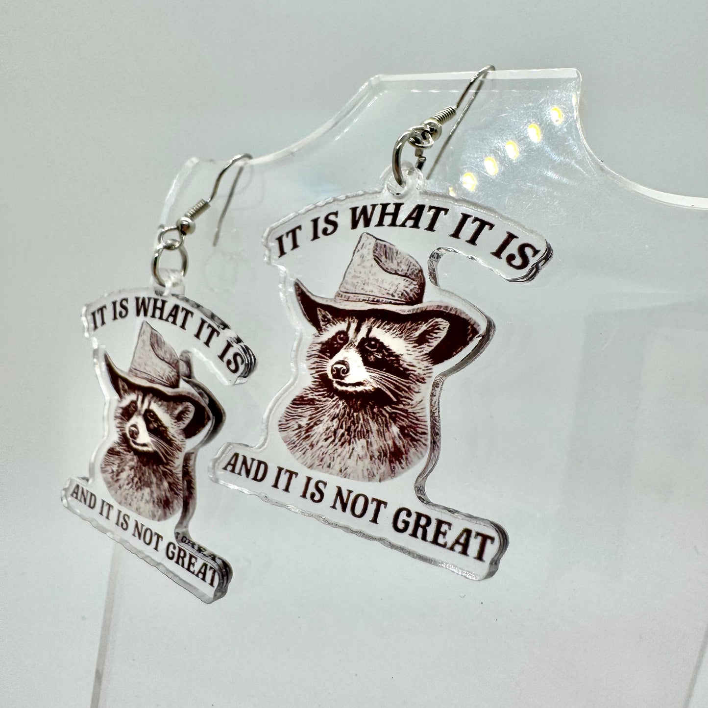 It Is What It Is Earrings