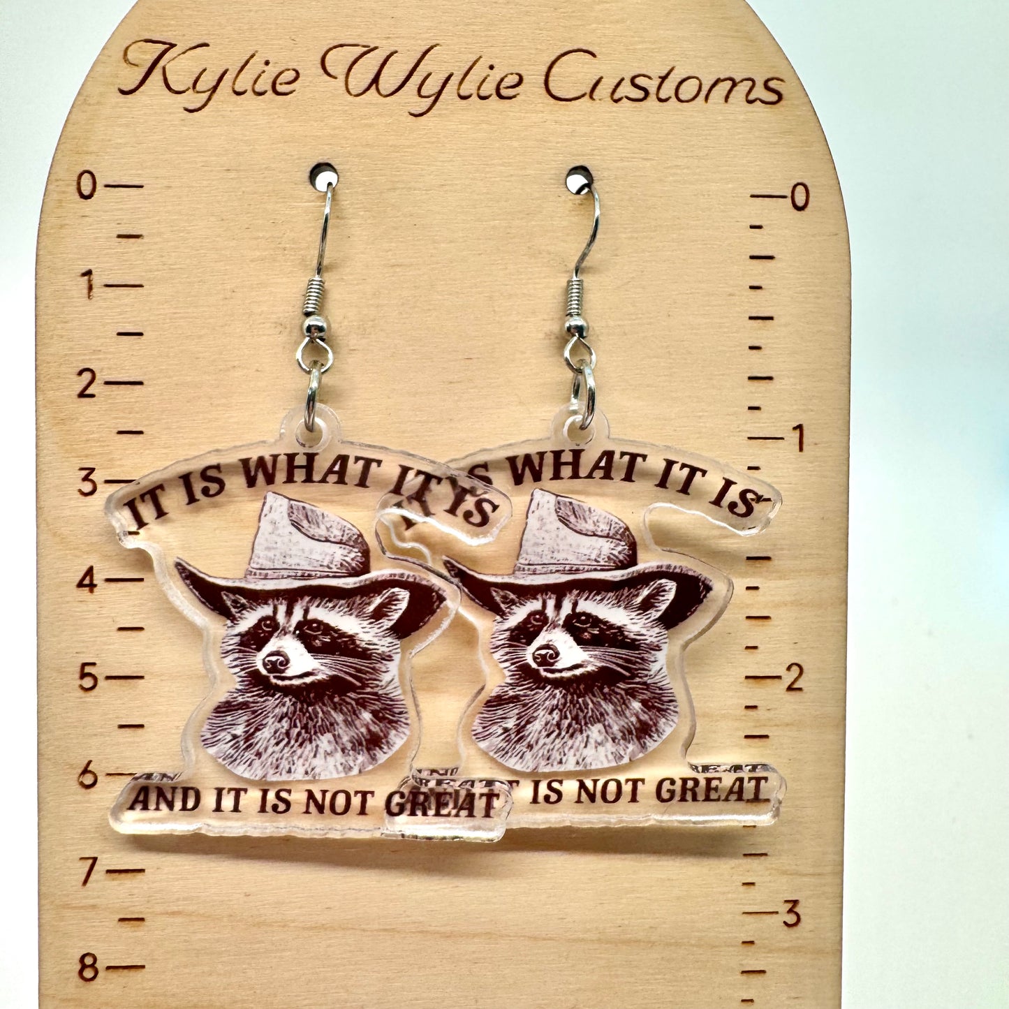 It Is What It Is Earrings