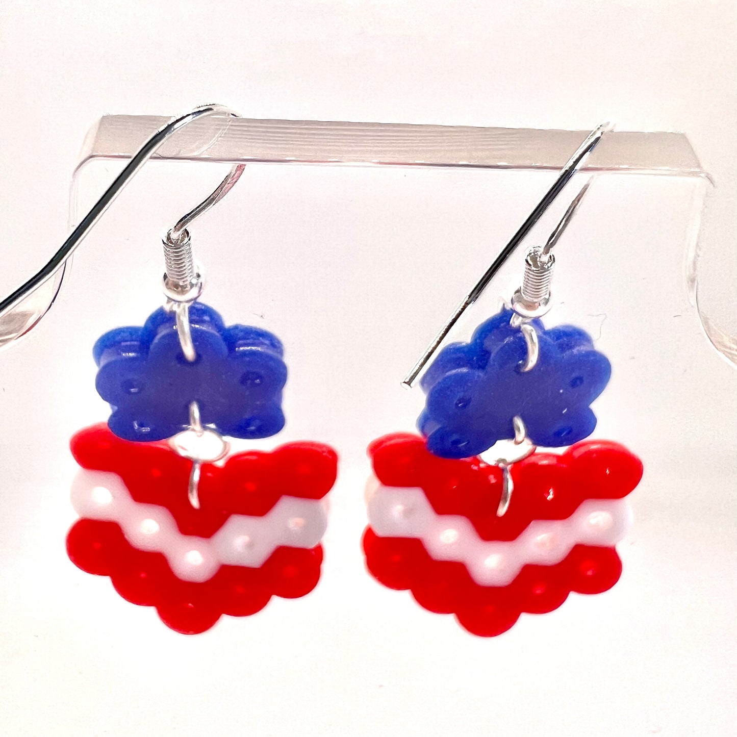 USA Earrings