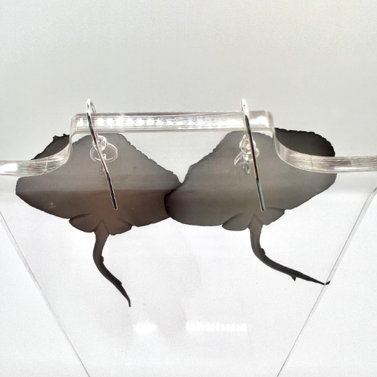 Stingray Earrings